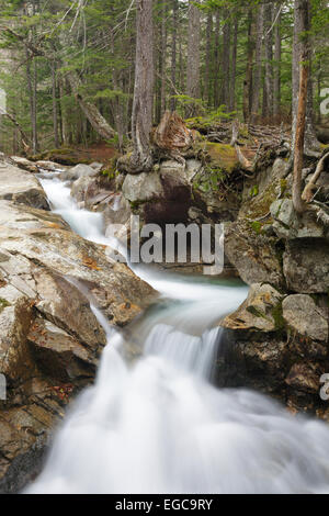 Franconia Notch State Park - Il fiume Pemigewasset vicino al 'il bacino" area di visualizzazione a Lincoln, New Hampshire USA. Foto Stock