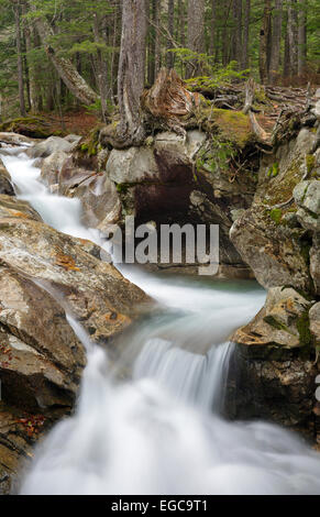 Franconia Notch State Park - Il fiume Pemigewasset vicino al 'il bacino" area di visualizzazione a Lincoln, New Hampshire USA. Foto Stock