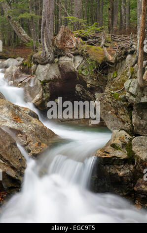 Franconia Notch State Park - Il fiume Pemigewasset vicino al 'il bacino" area di visualizzazione a Lincoln, New Hampshire USA. Foto Stock