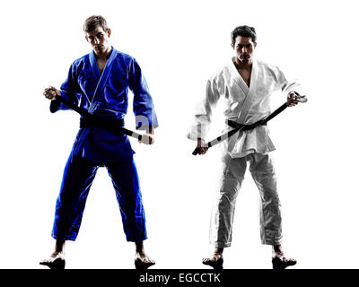 Due judoka fighters uomini valorosi in silhouette su sfondo bianco Foto Stock