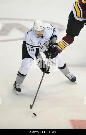 Rosemont, IL, Stati Uniti d'America. Il 22 febbraio, 2015. San Antonio Rampage's Brett Olson (15) controlla il puck durante la American Hockey League tra Chicago Wolves e il San Antonio Rampage all'Allstate Arena in Rosemont, IL. Patrick Gorski/CSM/Alamy Live News Foto Stock