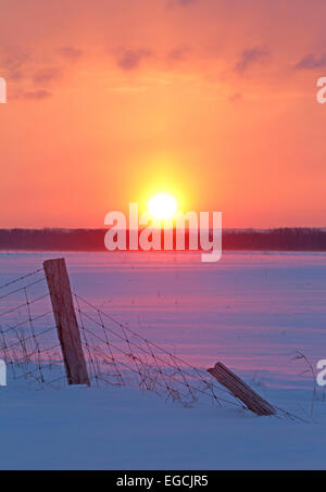 Cold Colorful Snowy Sunrise Foto Stock