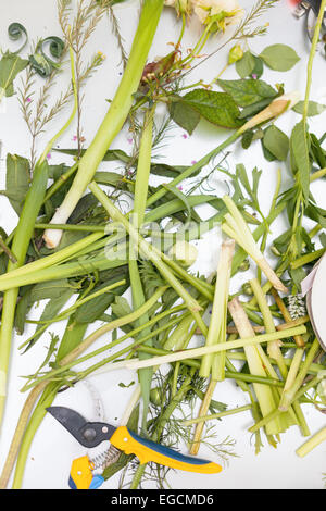 Fioraio del processo di lavoro. Foto concettuale. officina Foto Stock