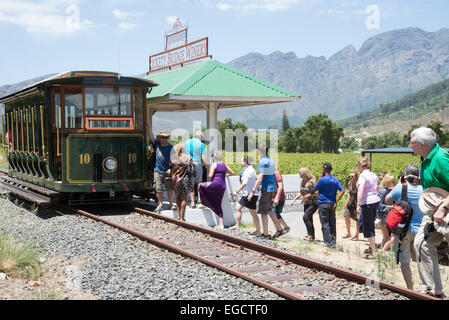 Il vino di tram attraverso vigneti nella Valle di Franschhoek Western Cape Sud Africa in treno per i visitatori. Foto Stock