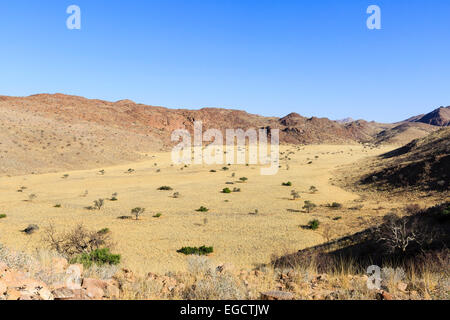 Affluente valle del fiume Swakop, fiume secco, Tsaobis farm, Namib Desert, Namibia Foto Stock