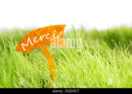 Etichetta con testo francese Merci che significa la ringrazio di Sunny erba verde per la primavera o estate sensazione Foto Stock