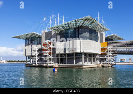 Lisbon Oceanarium, la seconda più grande oceanarium nel mondo e il più grande in Europa. Lisbona, Portogallo. Foto Stock