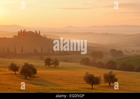 Tipico paesaggio toscano con hillls, country house e cipressi, nei pressi di San Quirico d'Orcia, Val d'Orcia, Val d'Orcia, Sito Patrimonio Mondiale dell'UNESCO, provincia di Siena, Toscana, Italia, Europa Foto Stock