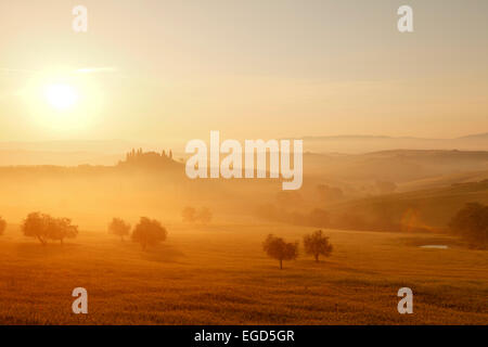 Tipico paesaggio toscano con hillls, country house e cipressi, nei pressi di San Quirico d'Orcia, Val d'Orcia, Val d'Orcia, Sito Patrimonio Mondiale dell'UNESCO, provincia di Siena, Toscana, Italia, Europa Foto Stock