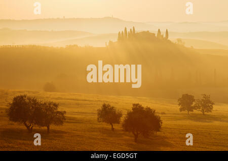 Tipico paesaggio toscano con hillls, country house e cipressi, nei pressi di San Quirico d'Orcia, Val d'Orcia, Val d'Orcia, Sito Patrimonio Mondiale dell'UNESCO, provincia di Siena, Toscana, Italia, Europa Foto Stock