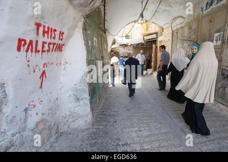 HEBRON, Israele - 10 OTT 2014: "Questa è la Palestina' scritto su una parete in una delle piccole strade della città vecchia nel centro o Foto Stock