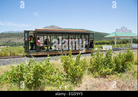 Stazione di tram per turisti attraverso vigneti a Franschhoek Western Cape Sud Africa visto qui passando per Rickey cantina a ponte Foto Stock