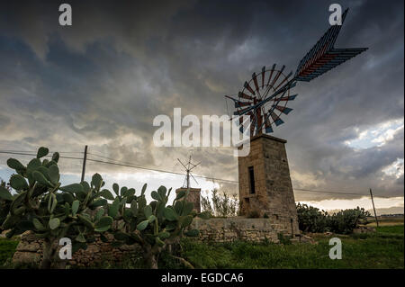 Vecchi Mulini a vento, Sant Jordi, vicino a Palma de Mallorca, Maiorca, SPAGNA Foto Stock