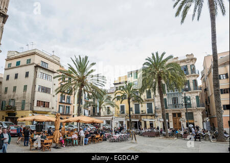 Placa Drassana nella parte storica di Palma de Mallorca, Maiorca, SPAGNA Foto Stock