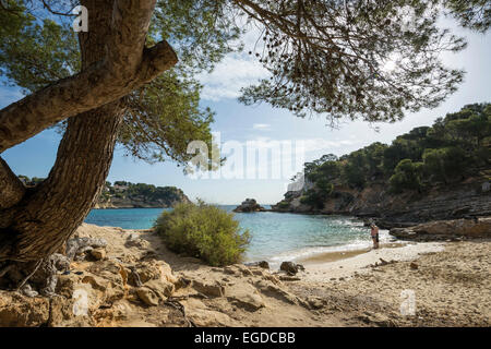 Cala Portals Vells, vicino a Palma de Mallorca, Maiorca, SPAGNA Foto Stock