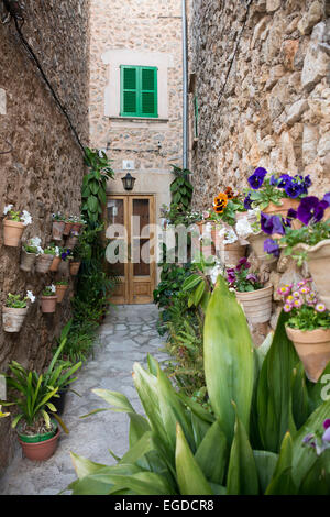 Vasi di fiori sul muro di una casa, Valdemossa, Maiorca, SPAGNA Foto Stock
