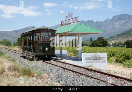 Stazione di tram per turisti attraverso vigneti a Franschhoek Western Cape Sud Africa visto qui passando per Rickey cantina a ponte Foto Stock