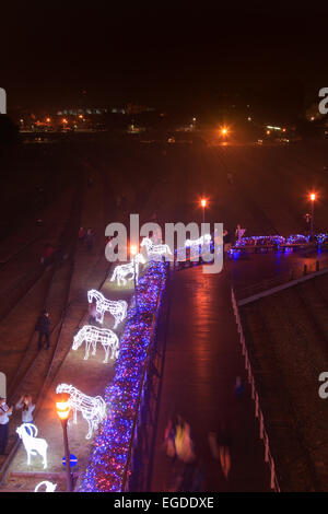 Kaohsiung, Taiwan. Il 22 febbraio, 2015. Lanter festival in Kaohsiung Taiwan presso il molo 2 art center. Il Capodanno cinese è un importante festival cinese ha celebrato presso la volta del calendario cinese. In Cina, è anche noto come il Festival di Primavera, la traduzione letterale del moderno nome cinese. Credito: Fabio Nodari/Alamy Live News Foto Stock