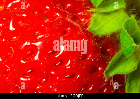 Fragole fresche close-up tessitura macro abstract Foto Stock