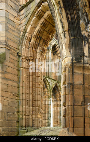 Windows nelle rovine della Cattedrale di Elgin, Elgin, murene, East Coast, Scozia, Gran Bretagna, Regno Unito Foto Stock