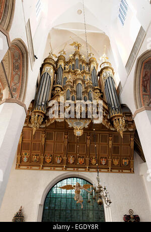 Stellwagen organo nella chiesa di S. Maria, Città Anseatica di Stralsund, Meclemburgo-Pomerania Occidentale, Germania Foto Stock