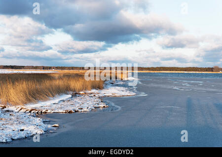 Ruegen baia poco profonda in inverno, Gross Zicker, Moenchgut, Isola di Ruegen, Meclemburgo-Pomerania, Germania Foto Stock