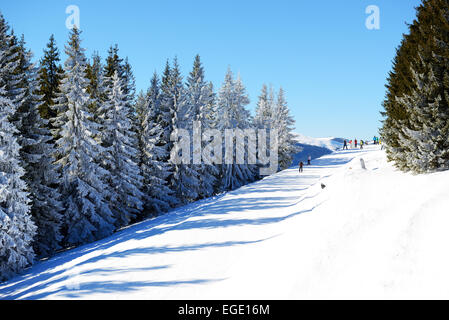 La pendenza di Bukovel ski resort, Ucraina Foto Stock