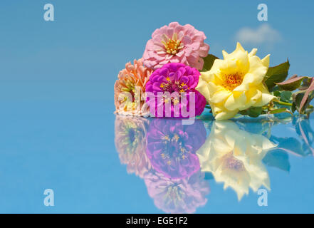 Bellissimi fiori con la riflessione contro il cielo blu e il cloud computing Foto Stock