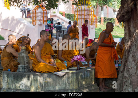 I monaci la preghiera, il tempio di Mahabodhi, Bodhgaya, Foto Stock