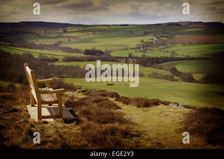 Northumberland paesaggio vicino Edlingham, Northumberland Foto Stock