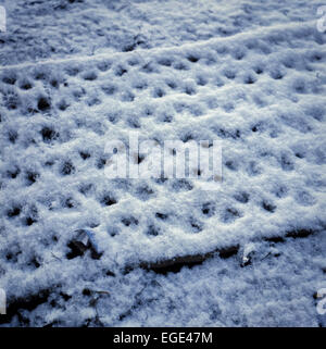 Materiale di rilievo per scene di neve che giace sotto la neve traboccante Foto Stock