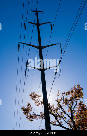 Silhouette della torre elettrica e il ramo di albero contro sun. Foto Stock