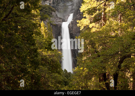 Yosemite Falls, California Foto Stock