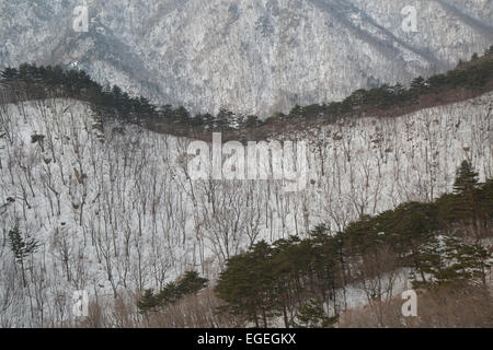 Seoraksan Parco Nazionale d'inverno. A piedi Ulsanbawi Rock. Di Sokcho, Corea del Sud. Montagne coperte di neve. Foto Stock