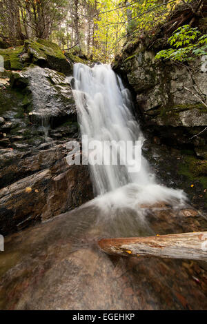 Unnamed cascata vicino a Indian Brook, Nova Scotia, le province marittime, Canada Foto Stock