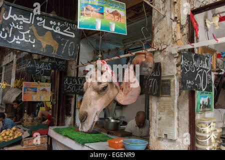 Butcher Shop nella Medina di Fez testa di cammello Foto Stock