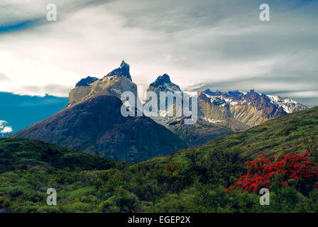 Vista incredibile di Torres del Paine in sud americana Andes Foto Stock