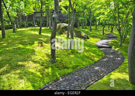 Prefettura di Kanagawa, Giappone Foto Stock