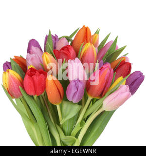 Tulipani colorati bouquet di fiori in primavera o la festa della mamma isolato su uno sfondo bianco Foto Stock