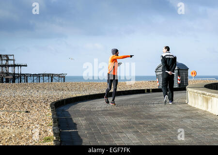 Guide di scorrimento sulla spiaggia di Brighton. Foto Stock