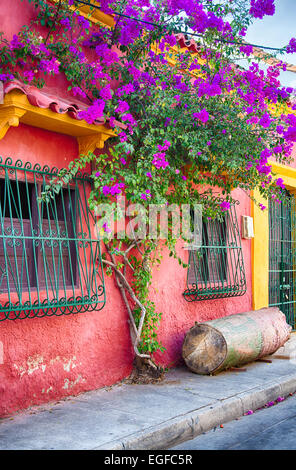 Case coloniali nella vecchia città di Cartagena, Colombia. Foto Stock