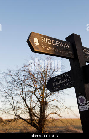 Mattina inverno la luce del sole su un Ridgeway signpost. Oxfordshire, Inghilterra Foto Stock