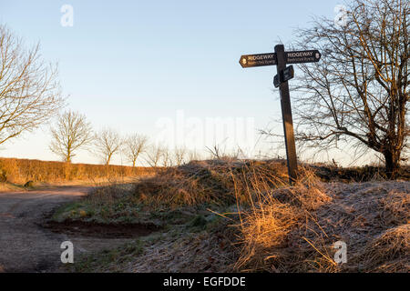 Mattina inverno la luce del sole su un Ridgeway signpost. Oxfordshire, Inghilterra Foto Stock