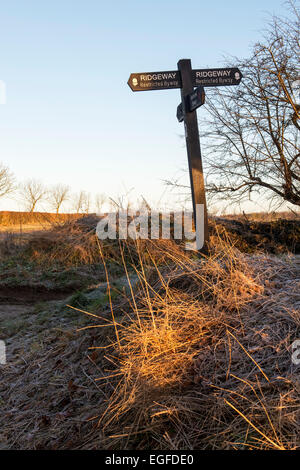 Mattina inverno la luce del sole su un Ridgeway signpost. Oxfordshire, Inghilterra Foto Stock