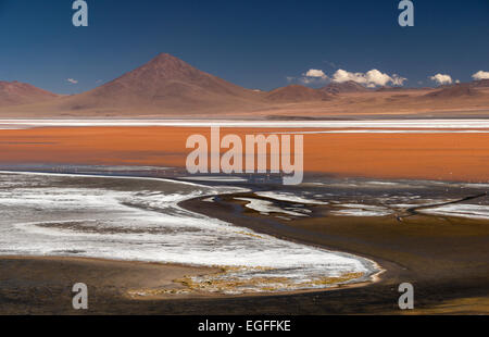 Laguna Colorada, Reserva Eduardo Avaroa, Bolivia Foto Stock