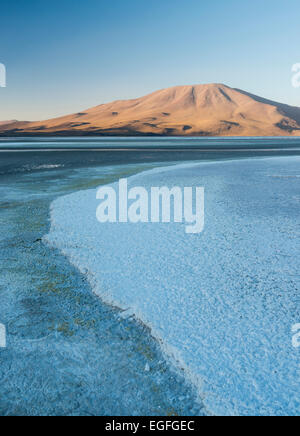 Laguna Colorada, Reserva Eduardo Avaroa, Bolivia Foto Stock