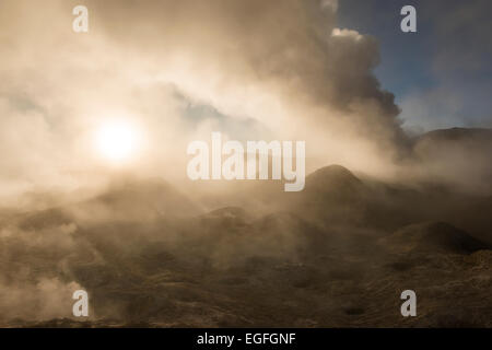 Sol de Mañana Geyser all'alba, Reserva Eduardo Avaroa, Bolivia Foto Stock