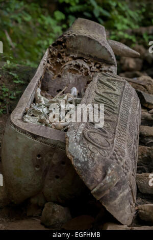 Sarcofago indigeno pieno di ossa umane in un sito di sepoltura tradizionale nel villaggio di Kete Kesu, Toraja settentrionale, Sulawesi meridionale, Indonesia. Foto Stock