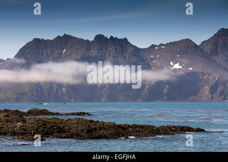 Atlantico del Sud, Sud Georgia e della baia di Isles linea di foschia marina al di sotto delle montagne Foto Stock