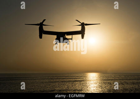 Un US Marine Corps MV-22B Osprey aeromobile a rotore inclinabile si prepara ad atterrare sul ponte di volo del trasporto anfibio dock nave USS New York durante le operazioni Febbraio 13, 2015 nel Golfo di Oman. Foto Stock